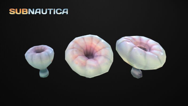 File:Deeeeeeeeeeeeeeeeeeeeeeeep Shrooms Model.jpeg