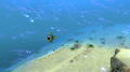 Thumbnail for version as of 03:19, 14 July 2015