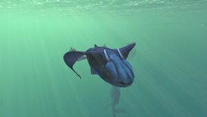 OO Glow Whale.jpg
