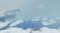A view of multiple ice floes above the biome