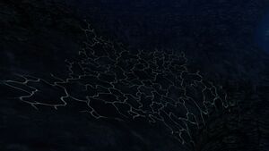 Blood Kelp (5).jpg