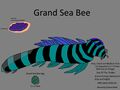 Grand Sea Bee Concept "Gran Mar abella" (Idea was from A Fandom user)