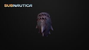 SandSharkEggModel.jpeg