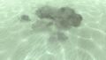 Thumbnail for version as of 21:26, 23 March 2015