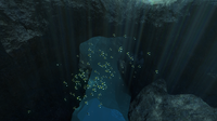A Shoal of Boomerang near the Jellyshroom Cave Entrance