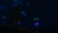 Underwater overview during night