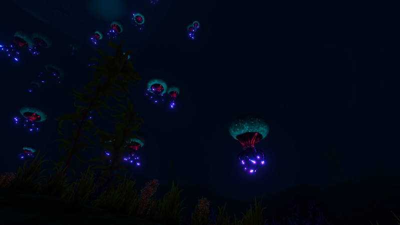 File:WA UnderwaterOverviewNight.png