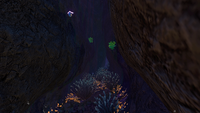 Another tunnel in the Grand Reef Caves