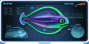 Hoopfish-0.png