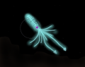 Thumbnail for version as of 15:09, 8 August 2020