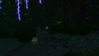 Some Outcrops