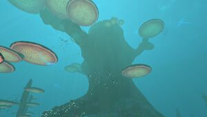 MushroomForest1Overview.jpg