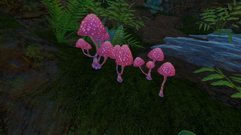 File:PinkMushroom.jpg