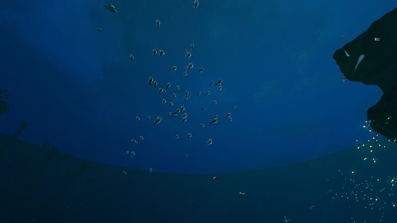 File:20161221223406 1.jpg