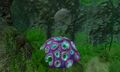 Thumbnail for version as of 02:45, 18 May 2017
