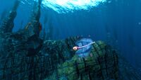 A Bladderfish in the Thermal Spires