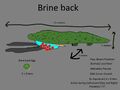 Brine Back Concept (the idea whas from, A Wikia contributor)