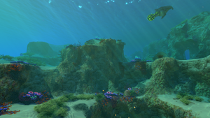 Safe shallows.png
