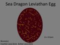 Sea Dragon Leviathan Egg Concept
