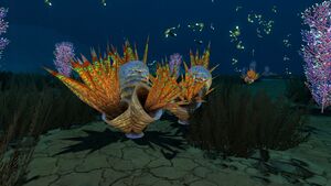 Shell Grass.jpg
