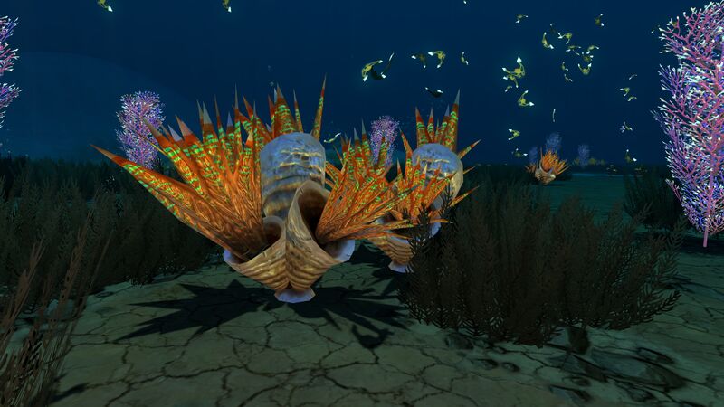 File:Shell Grass.jpg