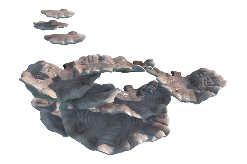 File:Thermal Zone Coral Shelf Plate Coral.png