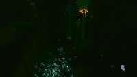 Ditto, at night