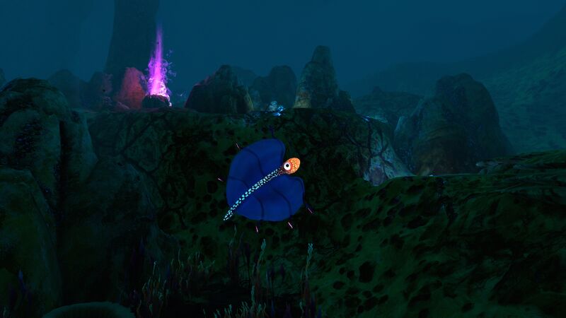 File:BladderFishDeepPurpleVent.jpg