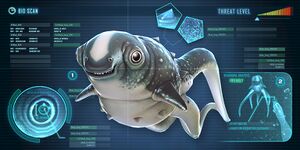 CuteFish.jpg