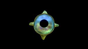Eyeye7.jpg