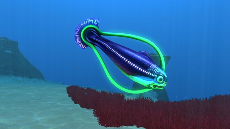File:Hoopfish1.jpg