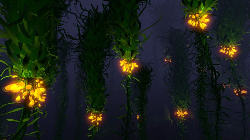 File:Kelp Forest (4).jpg