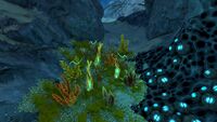 In a cave in the Shallow Twisty Bridges
