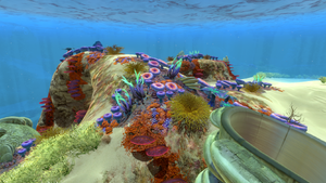 SafeShallowsFlora01.png