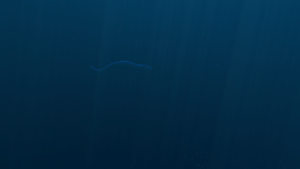 Screen Shot 2017-03-03 at 13.34.52.png