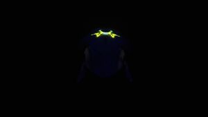 SeaMonkeyBaby FrontView2.jpg