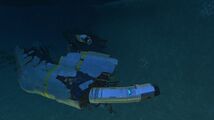 Dunes Wreck 1