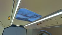 Ceiling Window Interior