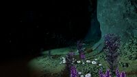 Deep Shrooms growing on the Sea Treader's Path