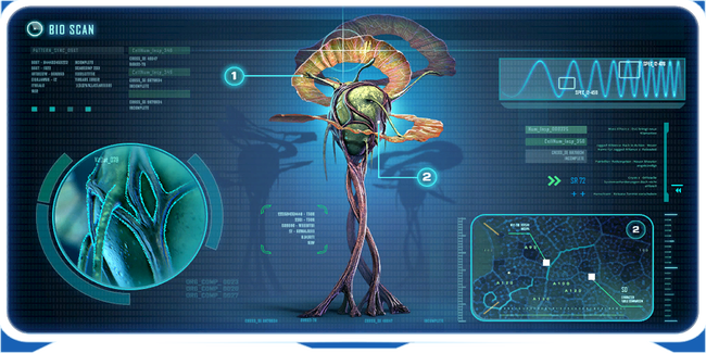 Generic big plant 01 frame.png