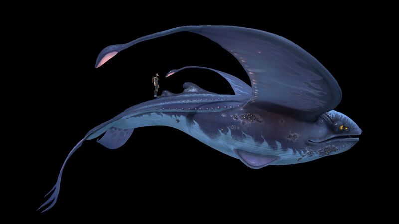 File:Glow Whale Sizeref.jpg