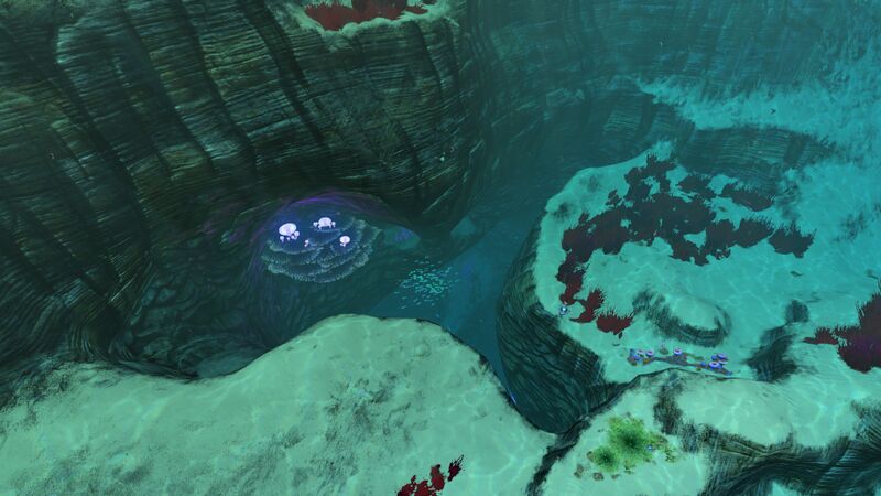 File:Jellyentrance2.jpg