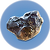 Nickel Ore.png