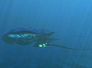 Reef-Side.jpg