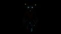 Thumbnail for version as of 03:16, 7 August 2021