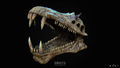 Skull Model from Sketchfab