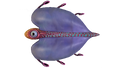 Thumbnail for version as of 11:13, 20 September 2015