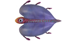 Bladderfish Fauna.png