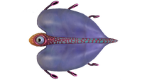 Airsack Fauna.png