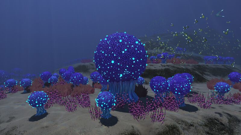 File:Bulb Zone (7).jpg